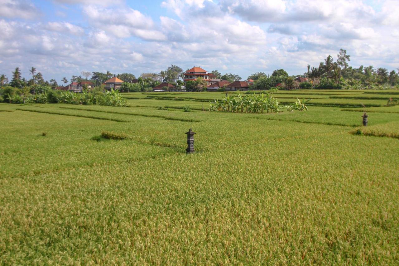 Kubu Sari Ubud Esterno foto