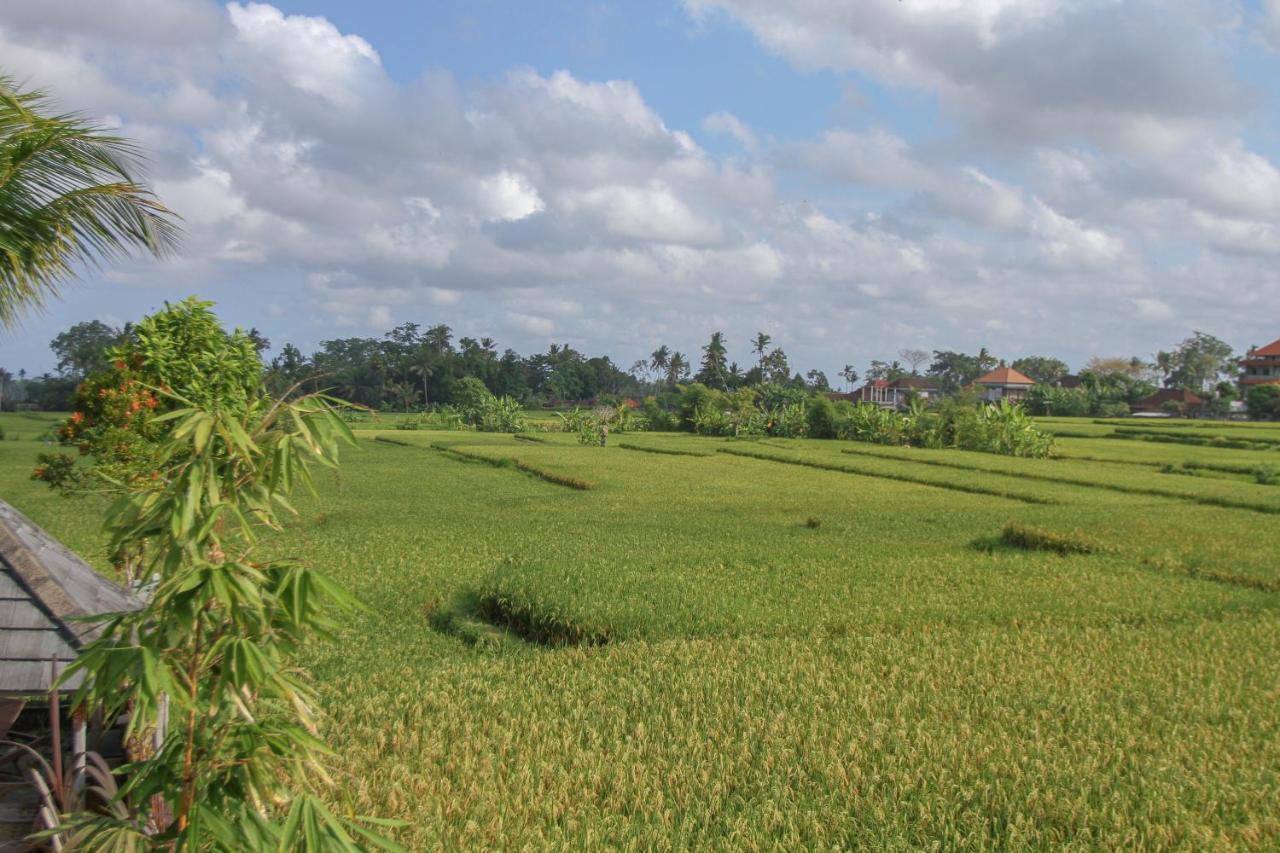 Kubu Sari Ubud Esterno foto