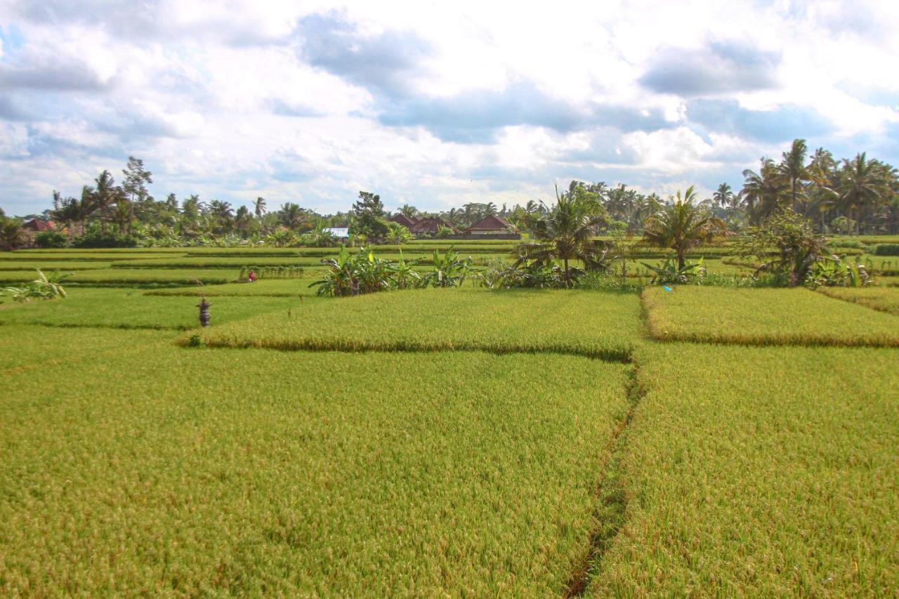 Kubu Sari Ubud Esterno foto