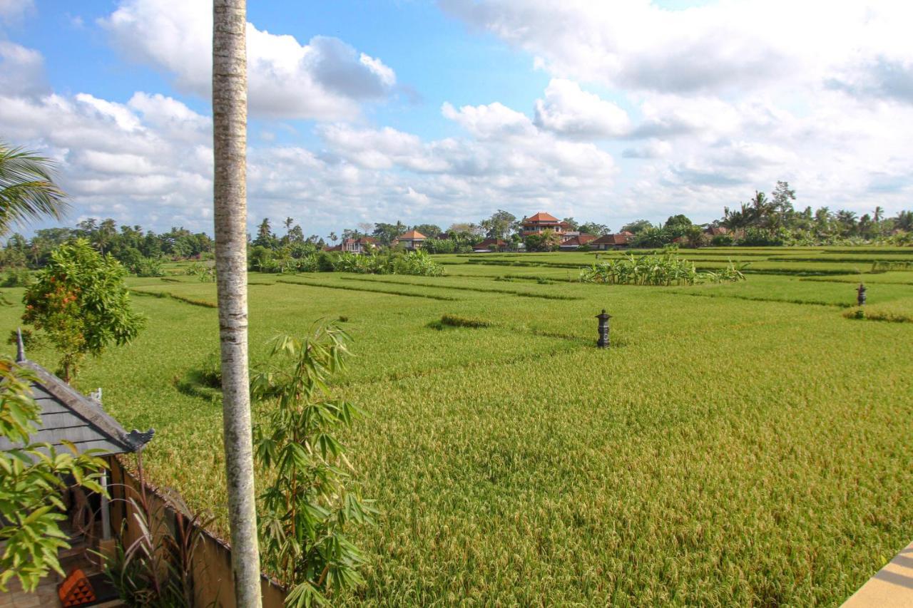 Kubu Sari Ubud Esterno foto